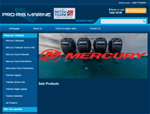 Tablet Screenshot of pro-rigmarine.com